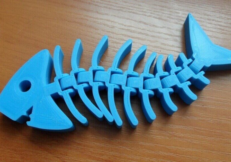 Fishy Filaments: Przyjazny środowisku projekt druku 3D dla lokalnych społeczności