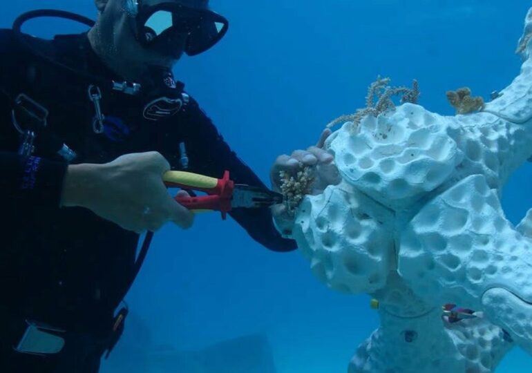 Drukowane w 3D rafy koralowe - 4 najbardziej obiecujące projekty